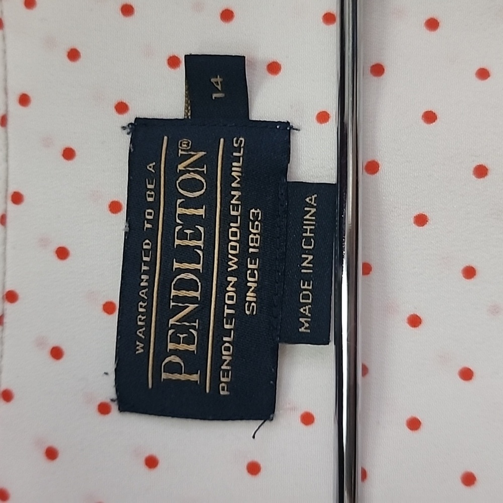 Pendleton Dotted Button-Down 14 - image 3